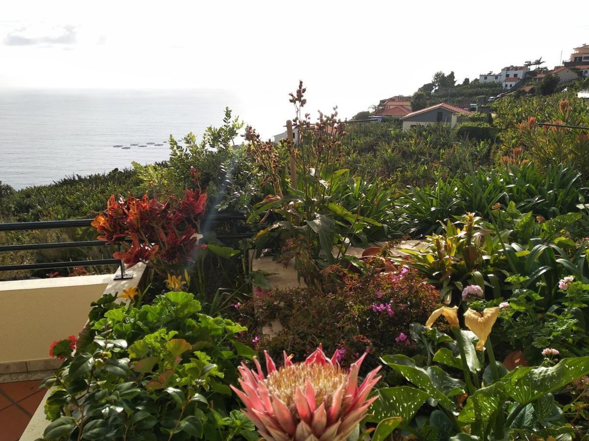 Apartmán Jardim Do Arco "Esmee" Arco da Calheta  Exteriér fotografie
