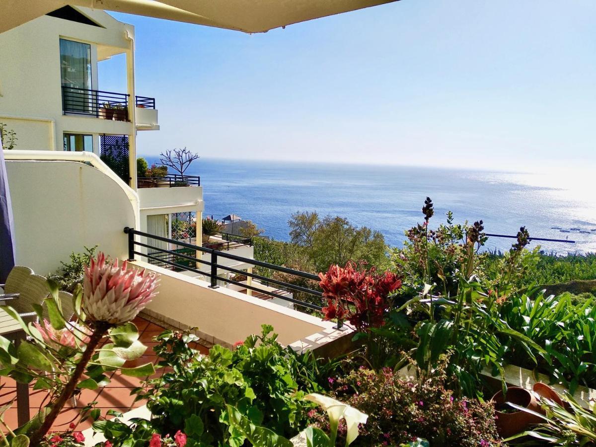 Apartmán Jardim Do Arco "Esmee" Arco da Calheta  Exteriér fotografie