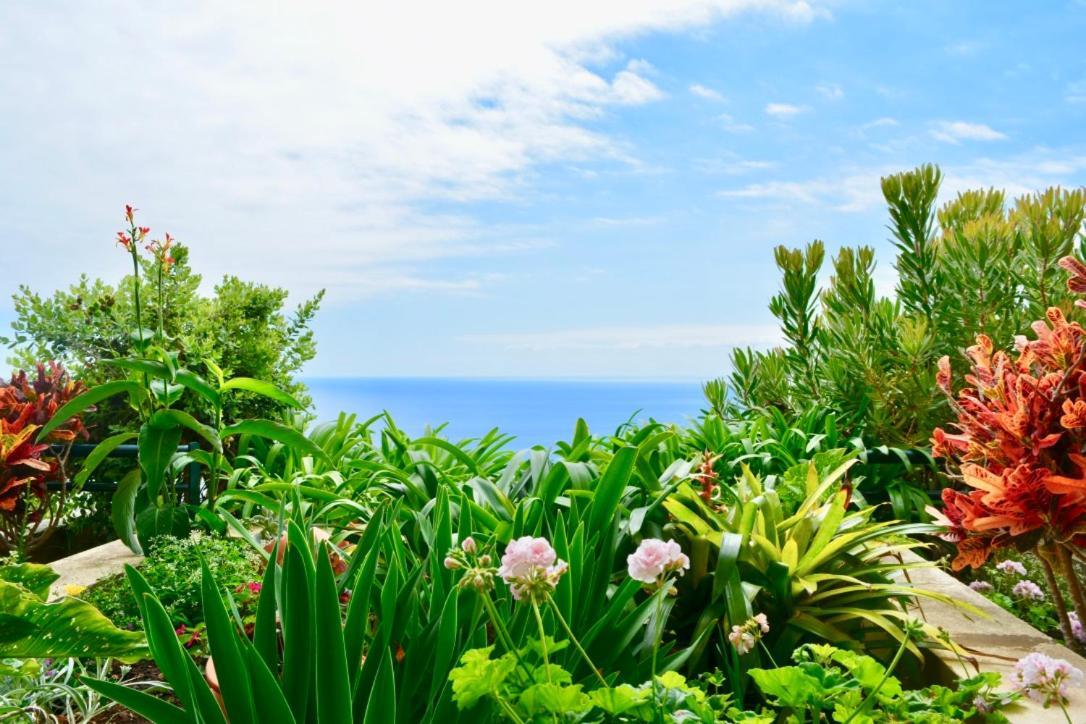Apartmán Jardim Do Arco "Esmee" Arco da Calheta  Exteriér fotografie