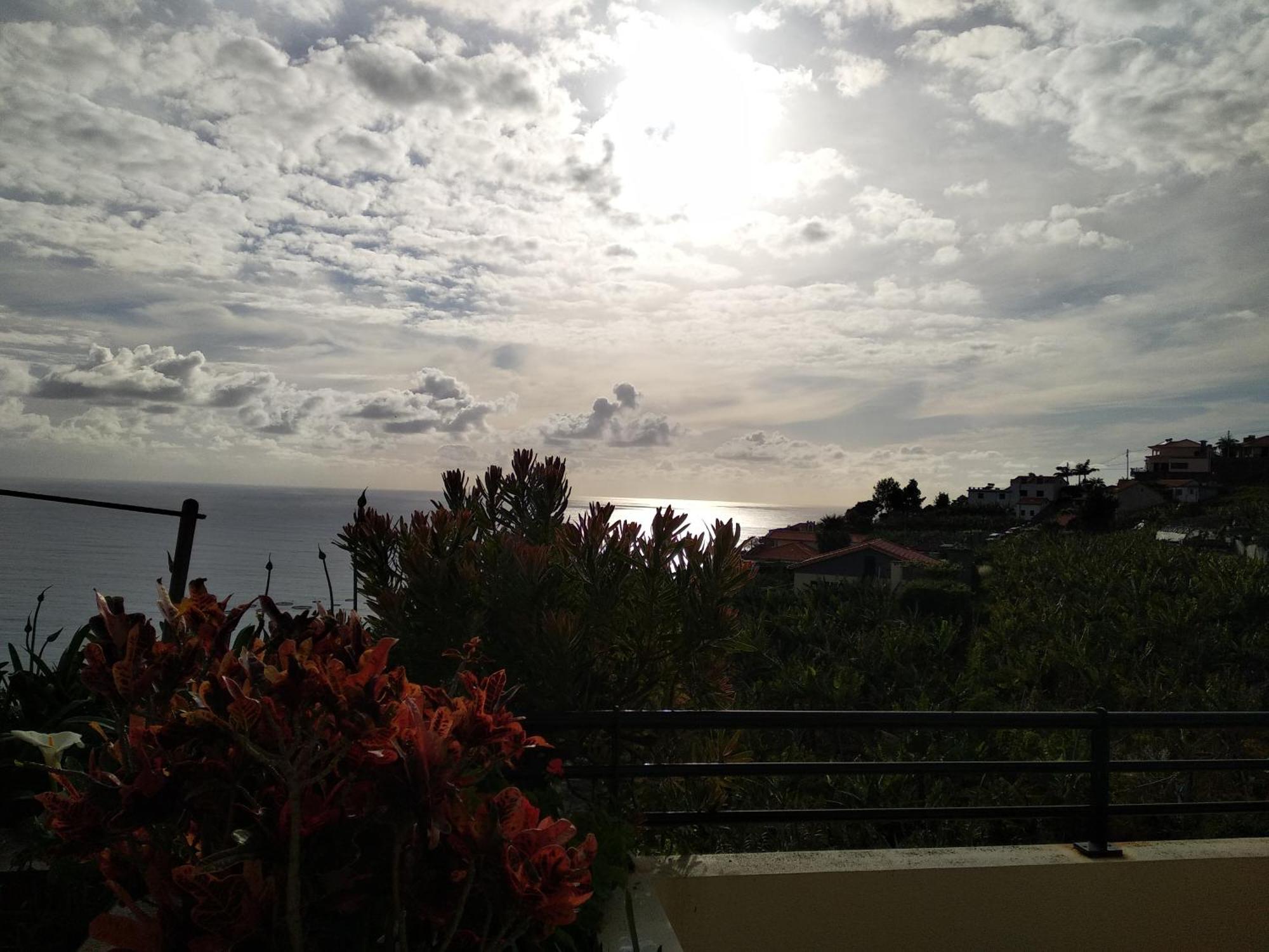 Apartmán Jardim Do Arco "Esmee" Arco da Calheta  Exteriér fotografie