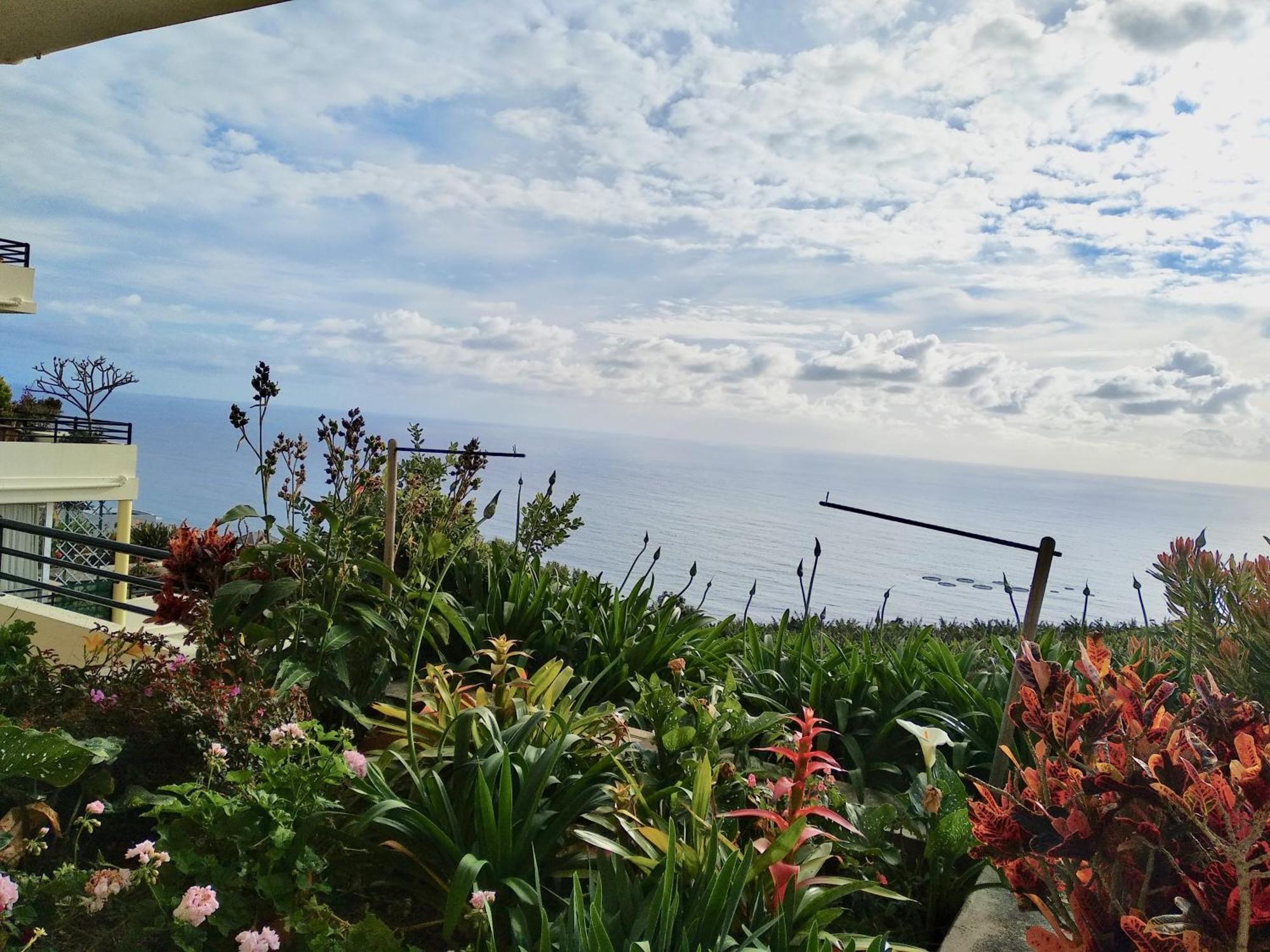 Apartmán Jardim Do Arco "Esmee" Arco da Calheta  Exteriér fotografie