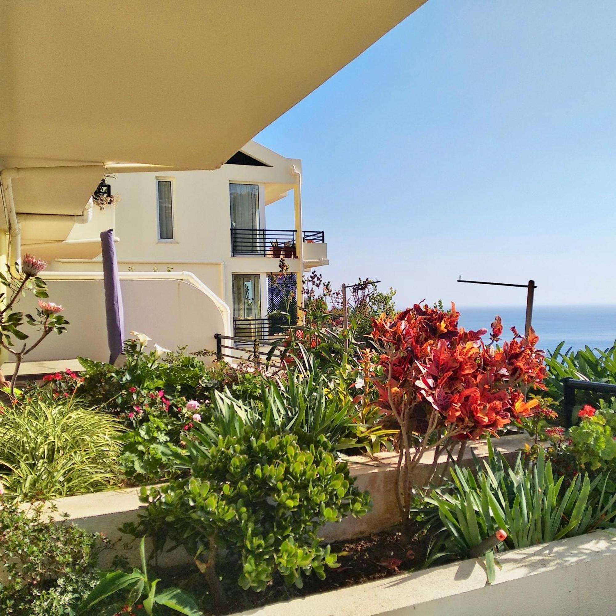 Apartmán Jardim Do Arco "Esmee" Arco da Calheta  Exteriér fotografie